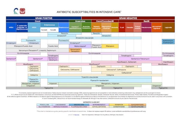 Antibiotic spectrum of activity