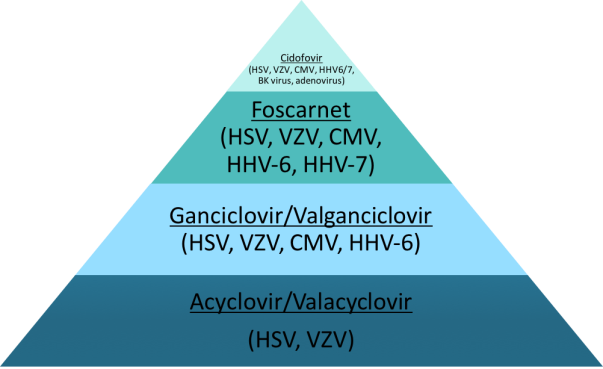 antiviral spectrum of activity